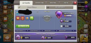 TH 13 Almost Max | Max heroes | + Free Change Name | best Price | 6 Workers |Level 229 coc account